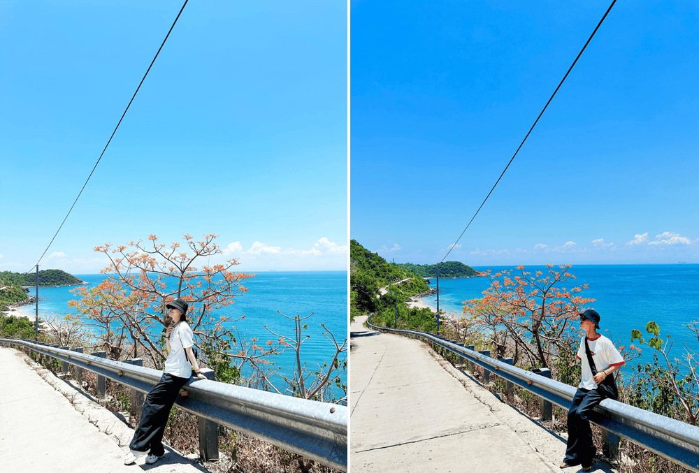 Cây ngô đồng tại Cù Lao Chàm thu hút nhiều du khách đến check-in (Nguồn: Chàm Daily Tour)